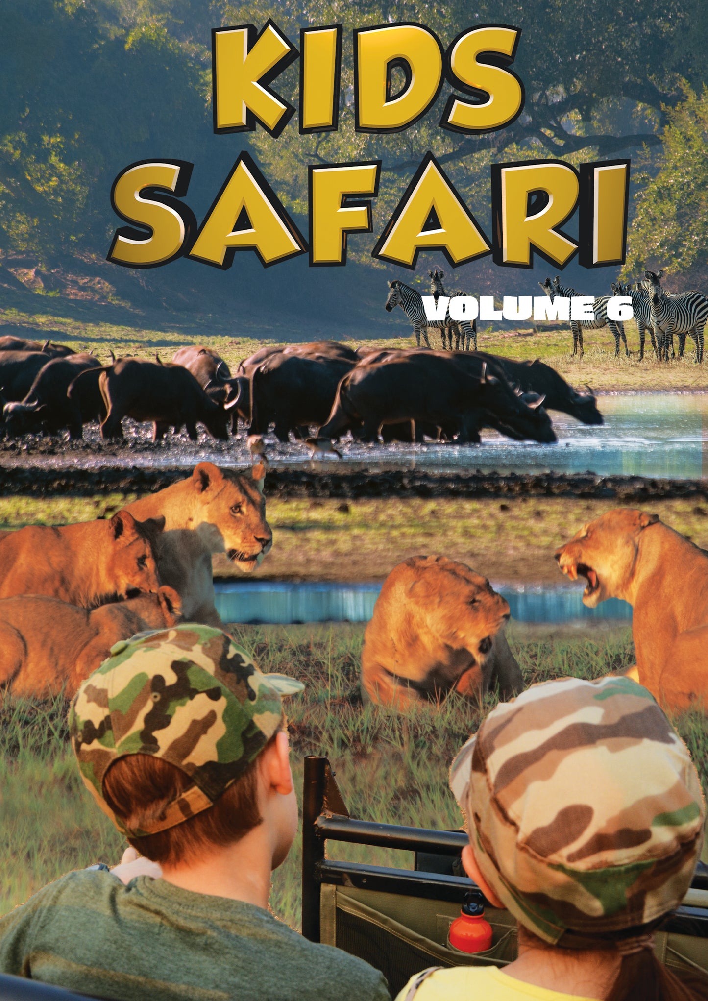 Kids Safari: Volume Six (DVD)