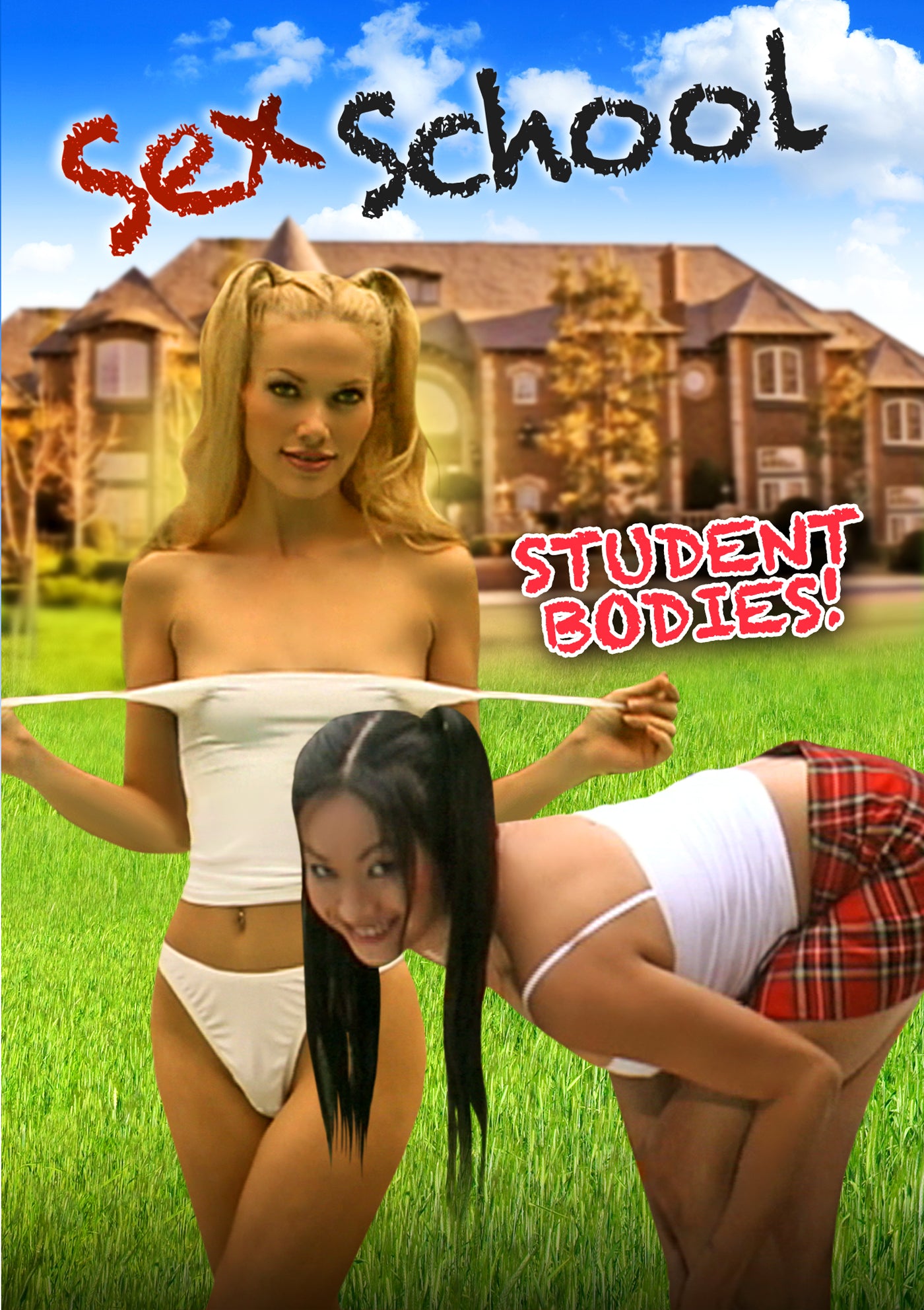 Sex School: Student Bodies (DVD) – Ronin Flix