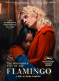 The Mysterious Gaze Of The Flamingo (DVD)