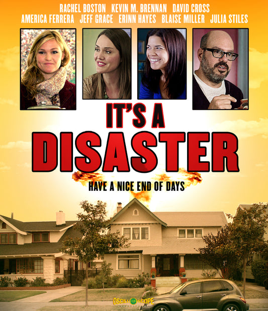 It's A Disaster (Blu-ray)