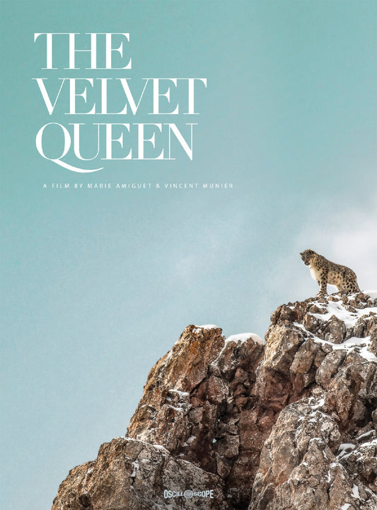 The Velvet Queen (Blu-ray)