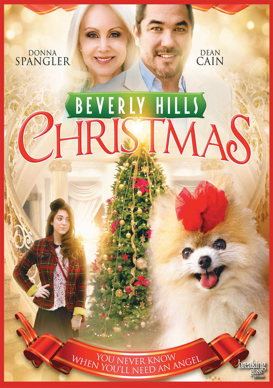 Beverly Hills Christmas (DVD)