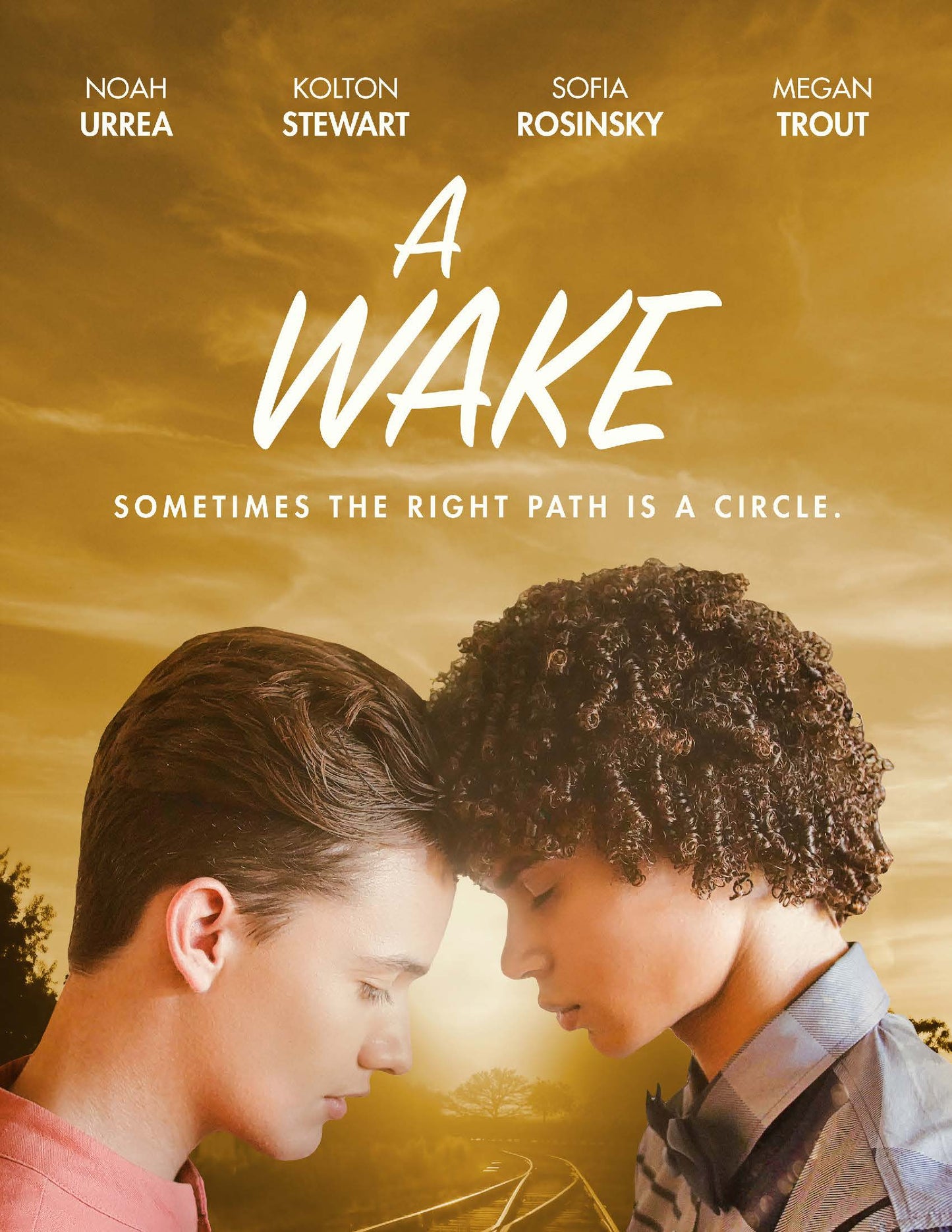 A Wake (DVD)