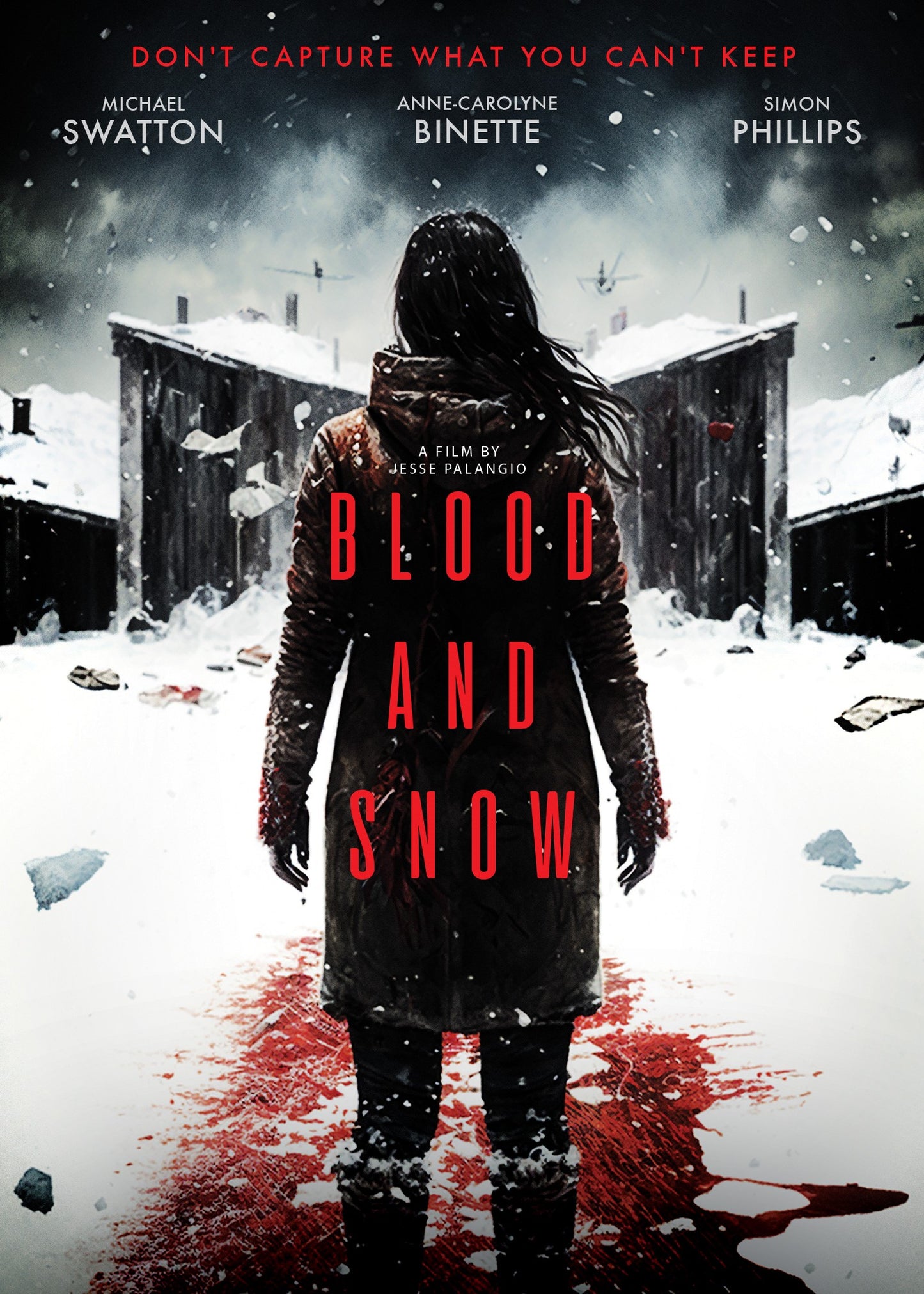 Blood And Snow (DVD)