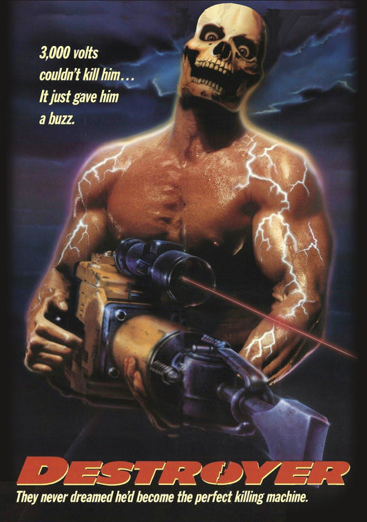 Destroyer (DVD)