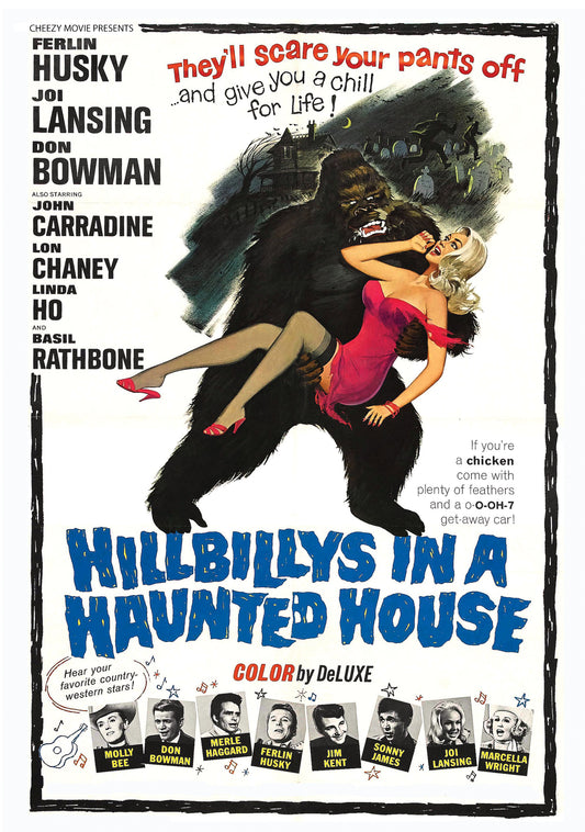 Hillbillys In A Haunted House (DVD)