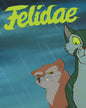 Felidae (4k UHD + Blu-ray) (4K Ultra HD)