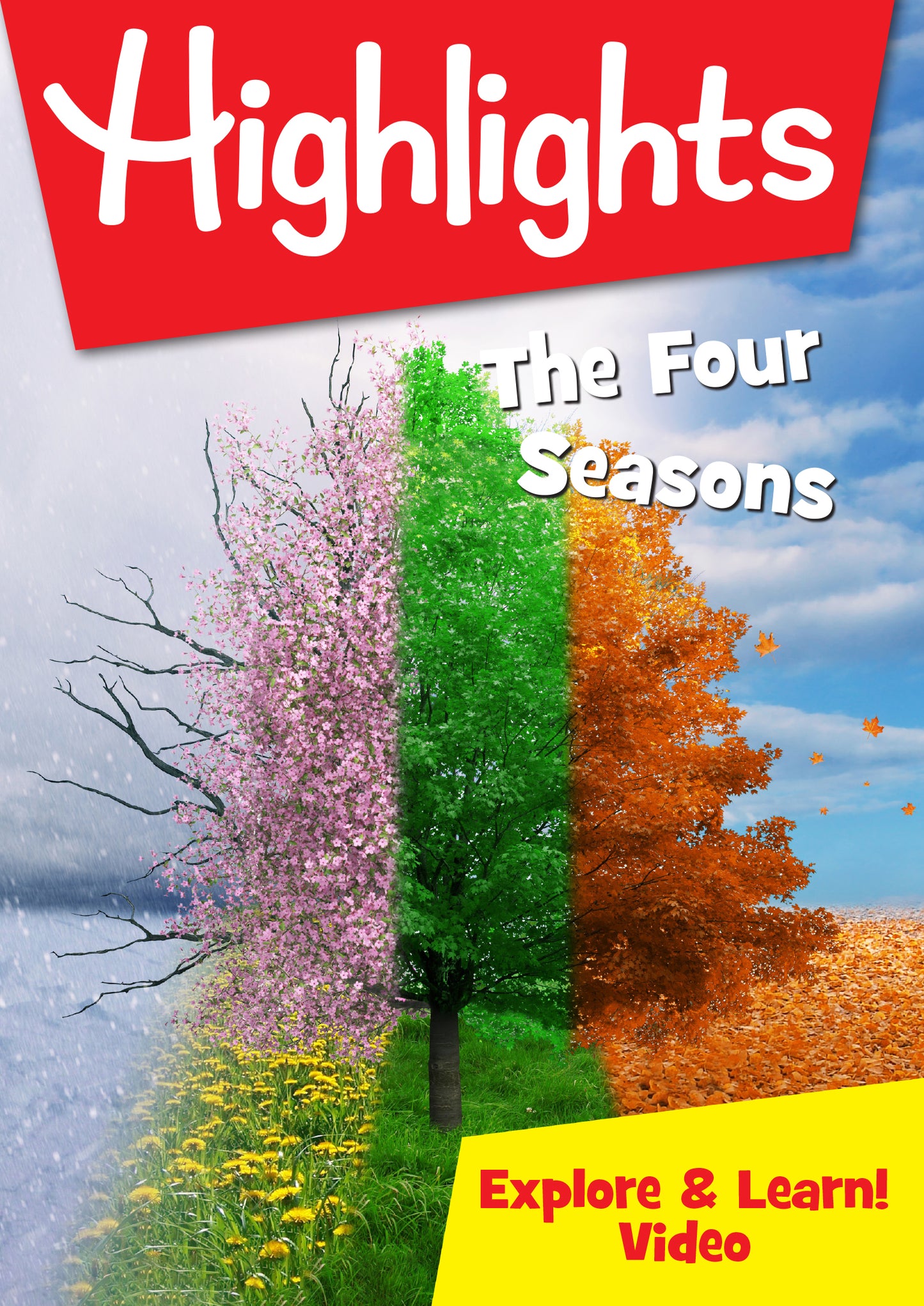 Highlights - The Four Seasons (DVD)