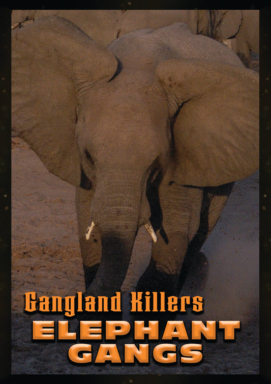 Gangland Killers: Elephant Gangs (DVD)