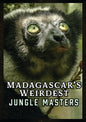 Madagascar's Weirdest: Jungle Masters (DVD)