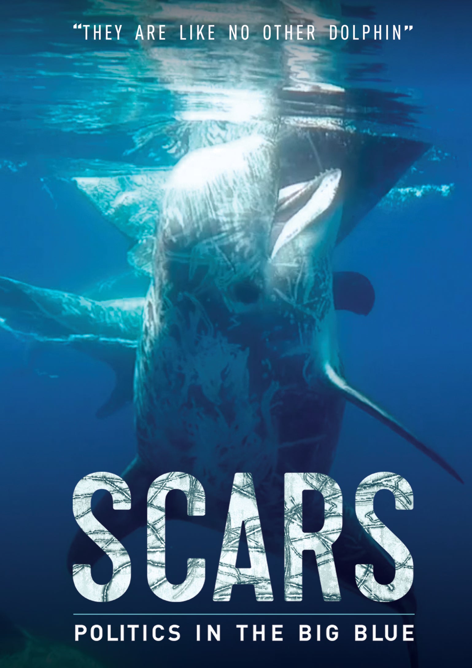 Scars (DVD)