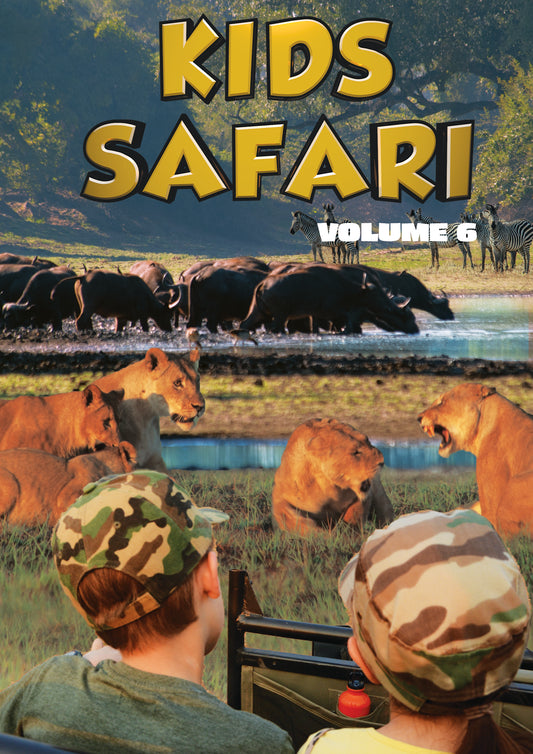 Kids Safari: Volume Six (DVD)