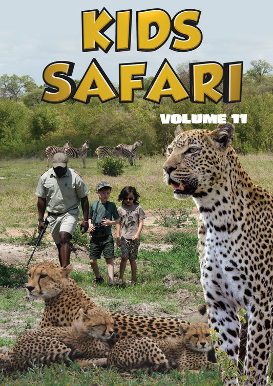 Kids Safari: Volume Eleven (DVD)