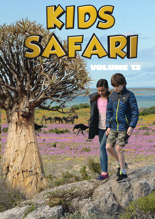 Kids Safari: Volume Thirteen (DVD)