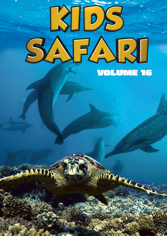 Kids Safari: Volume Sixteen (DVD)