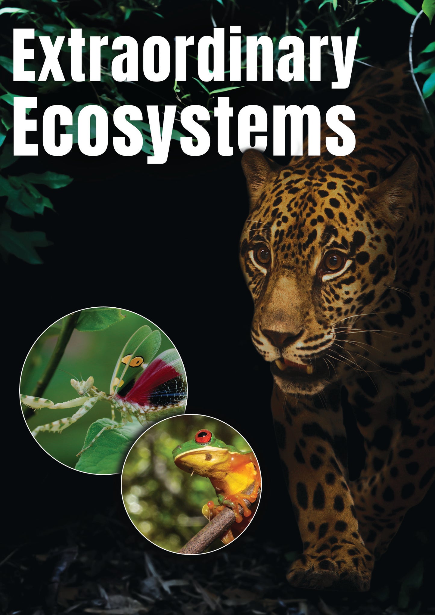 Extraordinary Ecosystems (DVD)