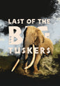 Last Of The Big Tuskers (DVD)