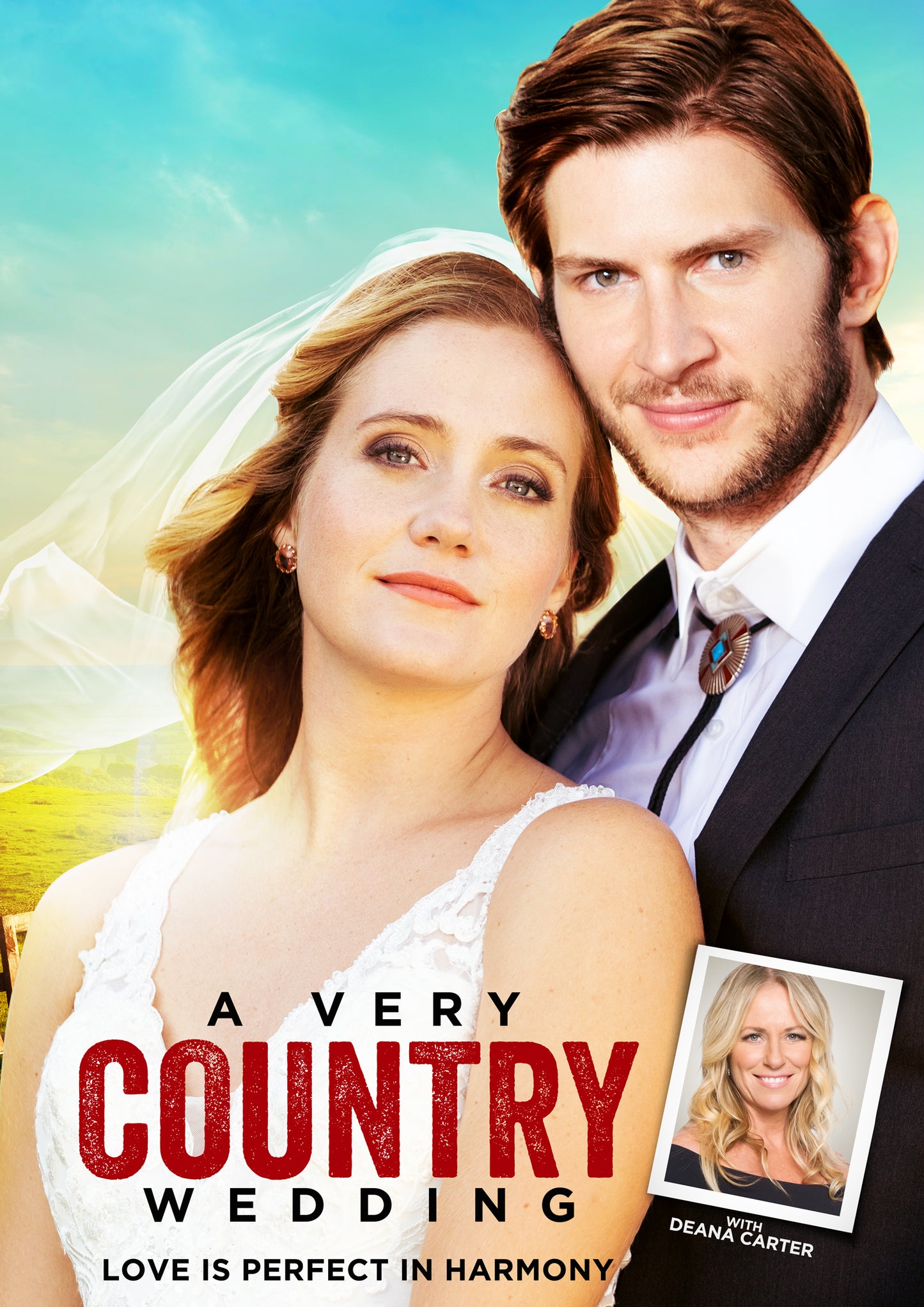 A Very Country Wedding (DVD)