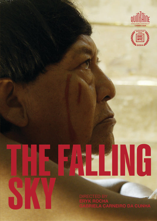 The Falling Sky (DVD)