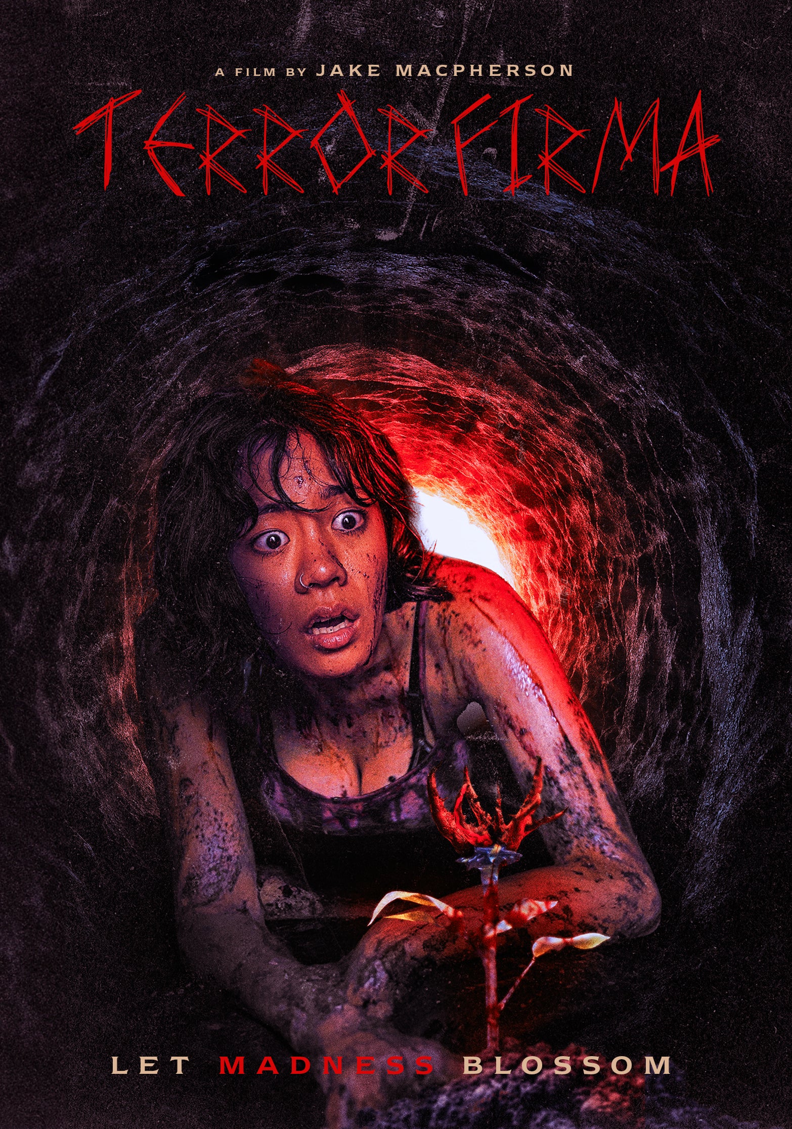 Terror Firma (DVD)
