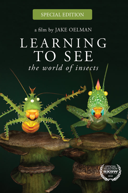 Learning To See: The World Of Insects Special Edition (Blu-ray)