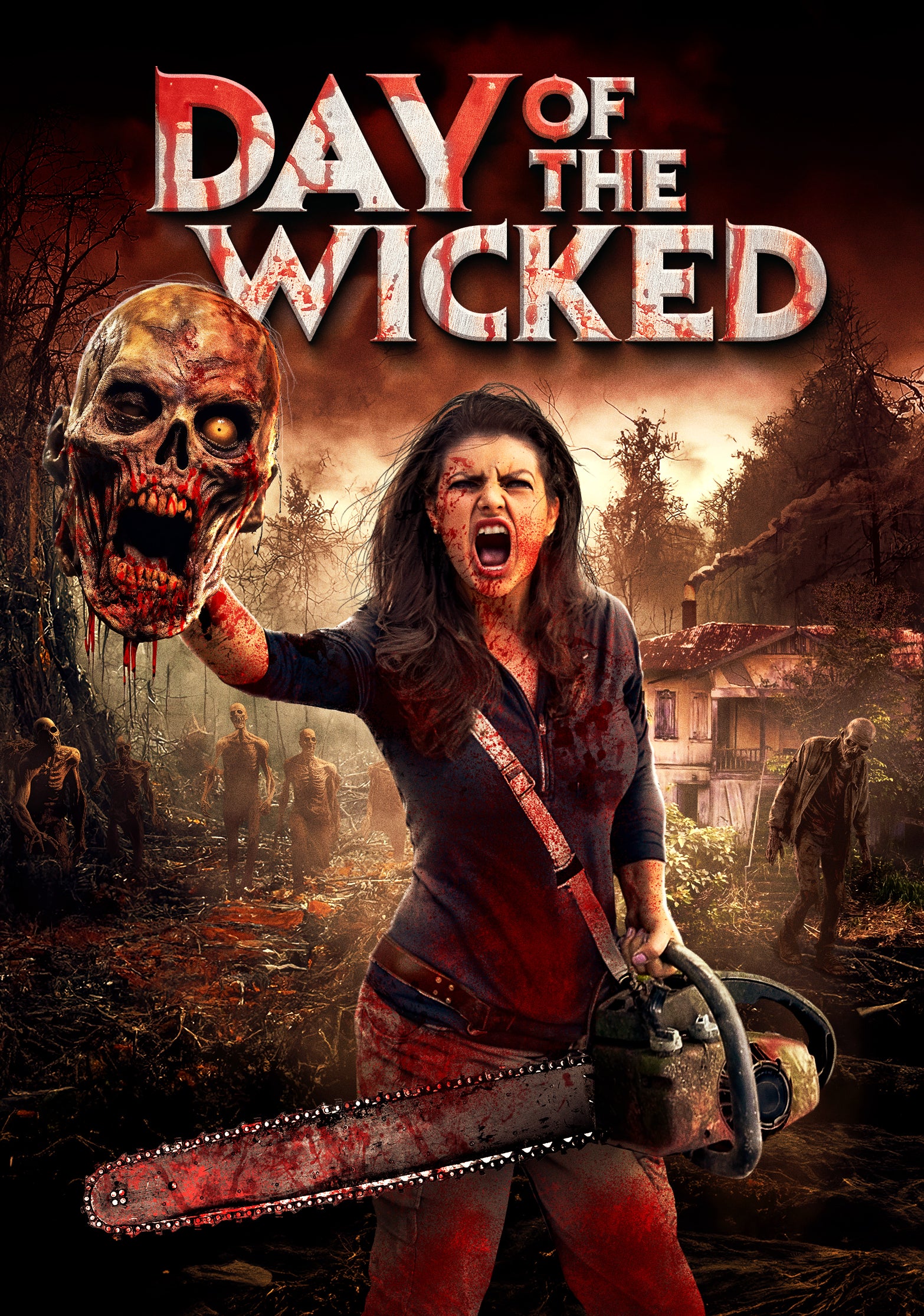 Day Of The Wicked (DVD)