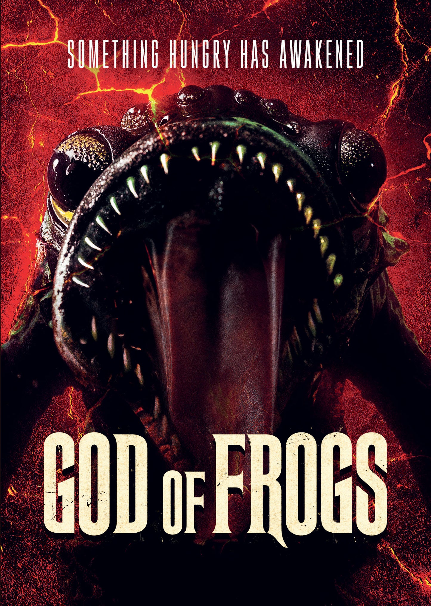 God Of Frogs (DVD)