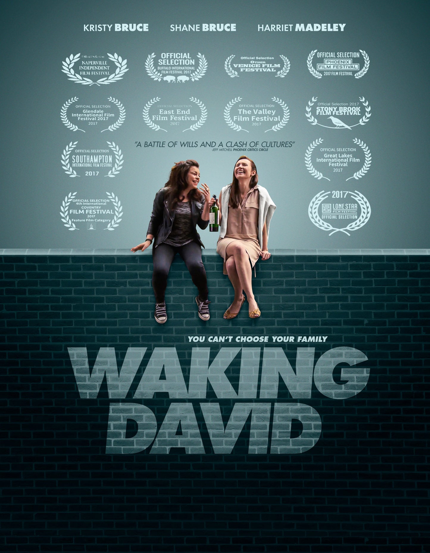 Waking David (DVD)