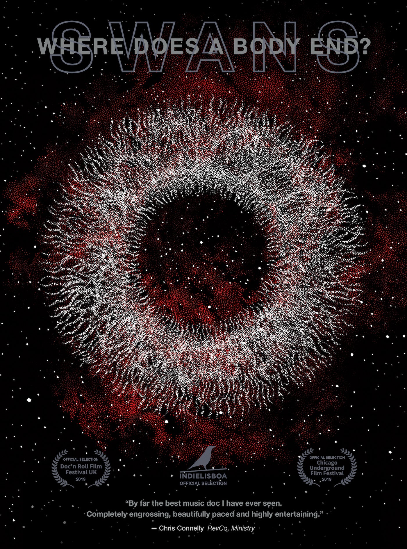 SWANS - Where Does A Body End? Deluxe Edition (Blu-ray)