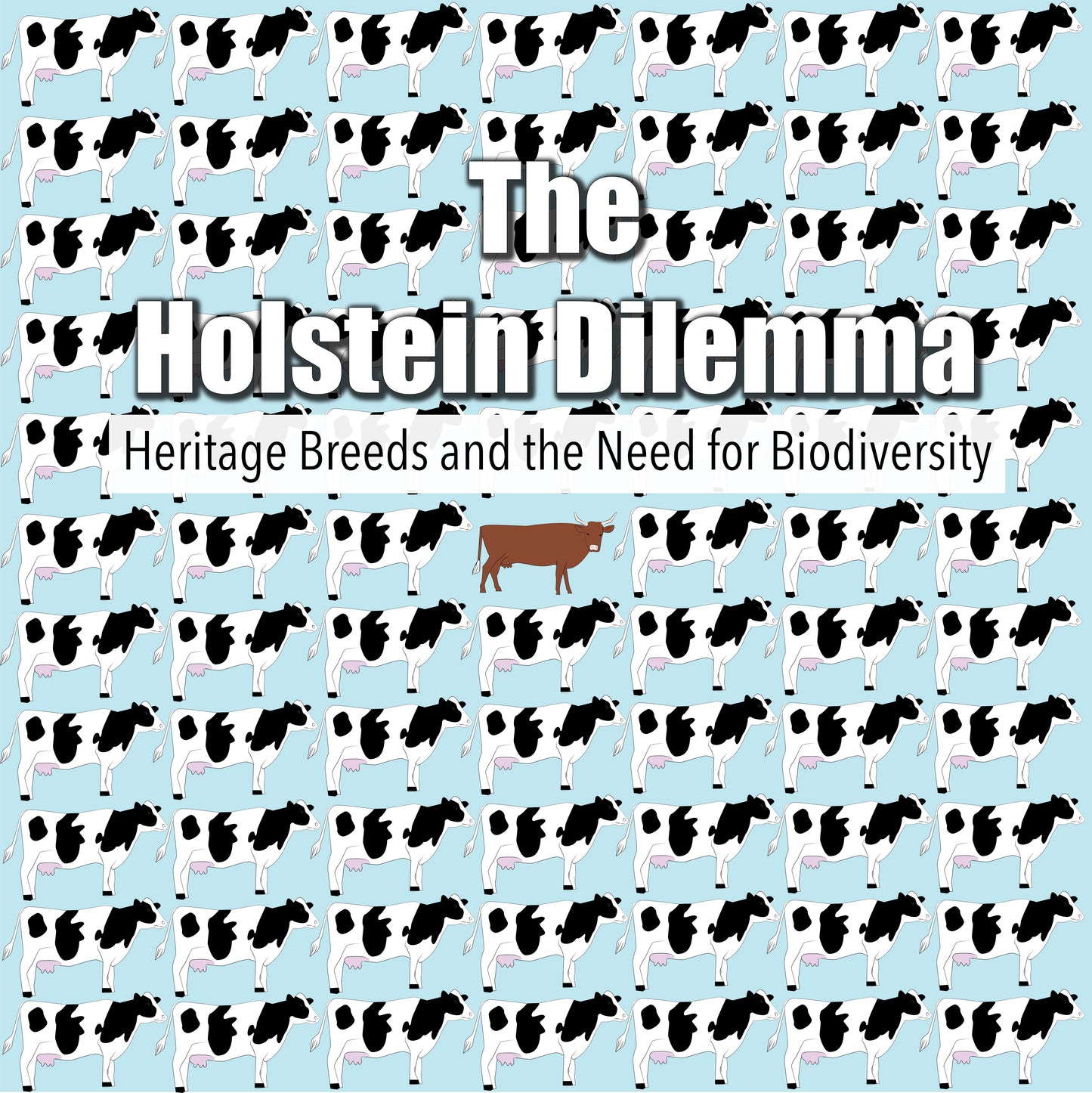 The Holstein Dilemma (DVD)