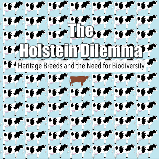 The Holstein Dilemma (DVD)