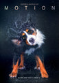Motion (DVD)