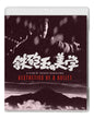 Aesthetics Of A Bullet (Blu-ray)