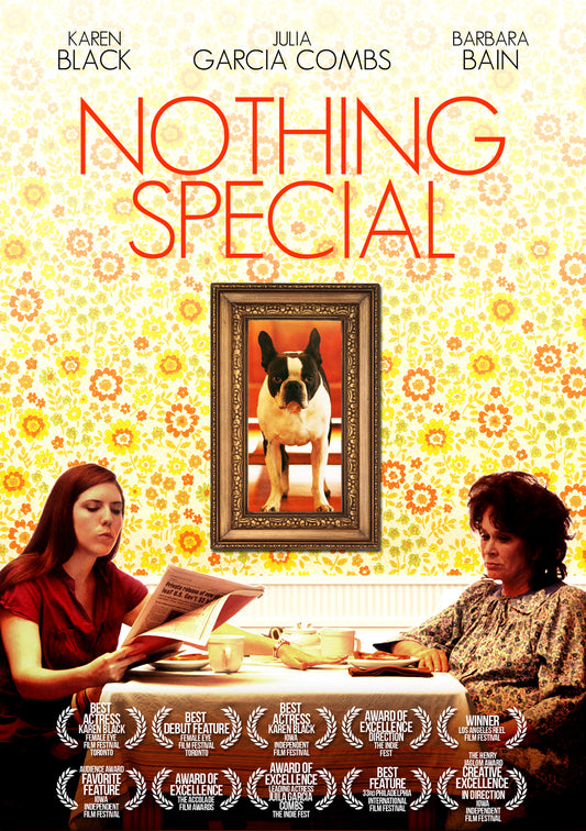 Nothing Special (DVD)