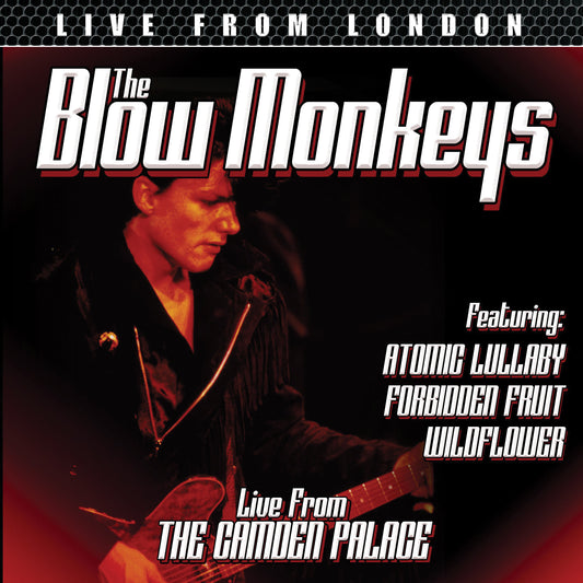 Blow Monkeys - Live From Camden Palace (DVD)