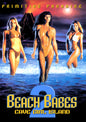 Beach Babes 2: Cave Girl Island (DVD)