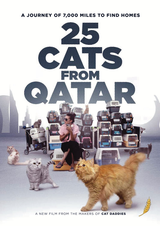 25 Cats From Qatar (DVD)