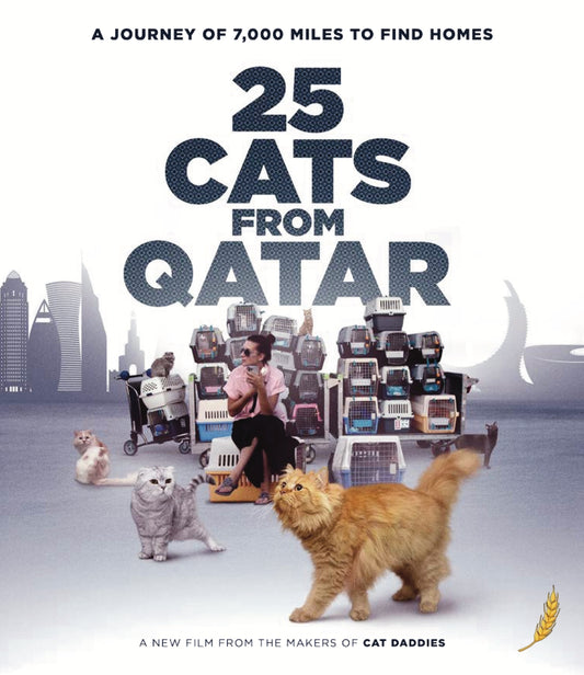 25 Cats From Qatar (Blu-ray)