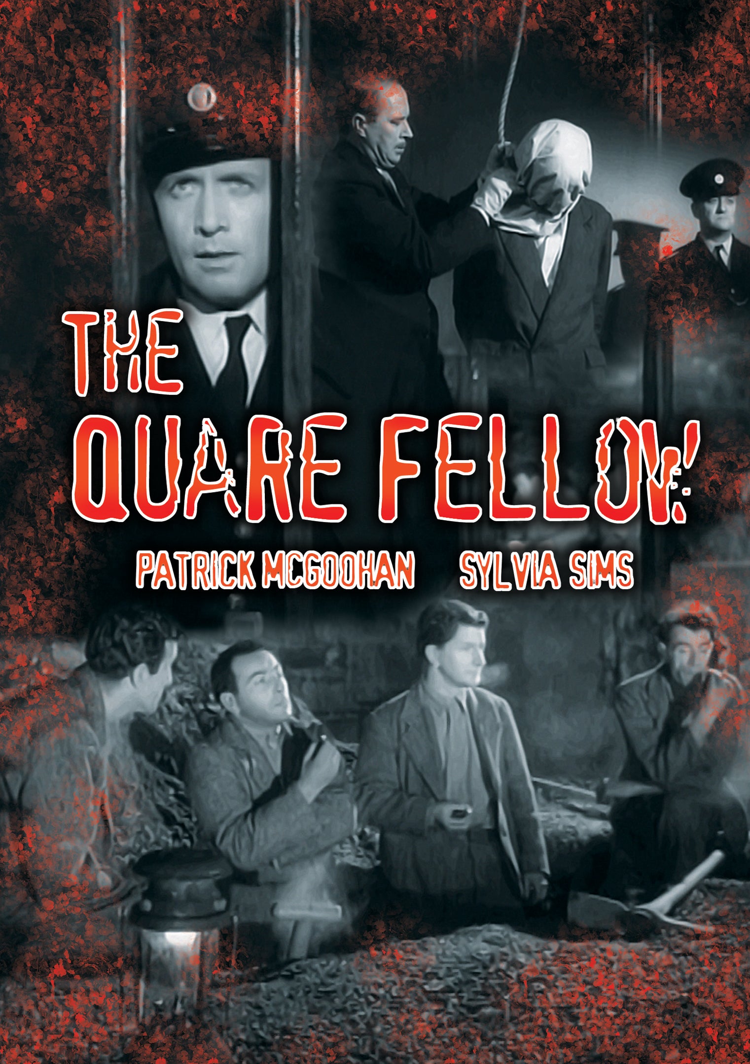 The Quare Fellow (DVD)