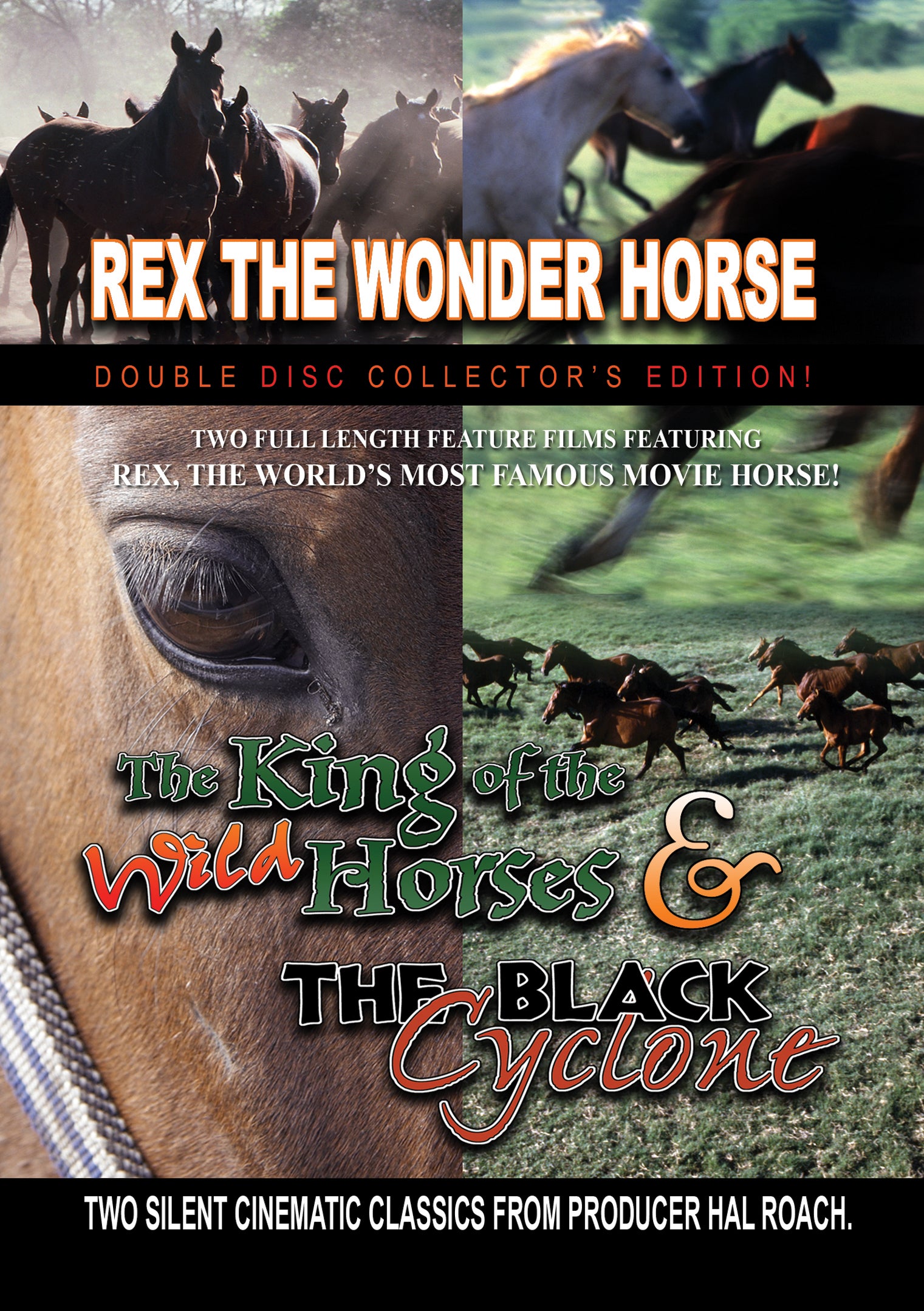 Rex The Wonder Horse Double Feature: The King Of The Wild Horses/the B ...