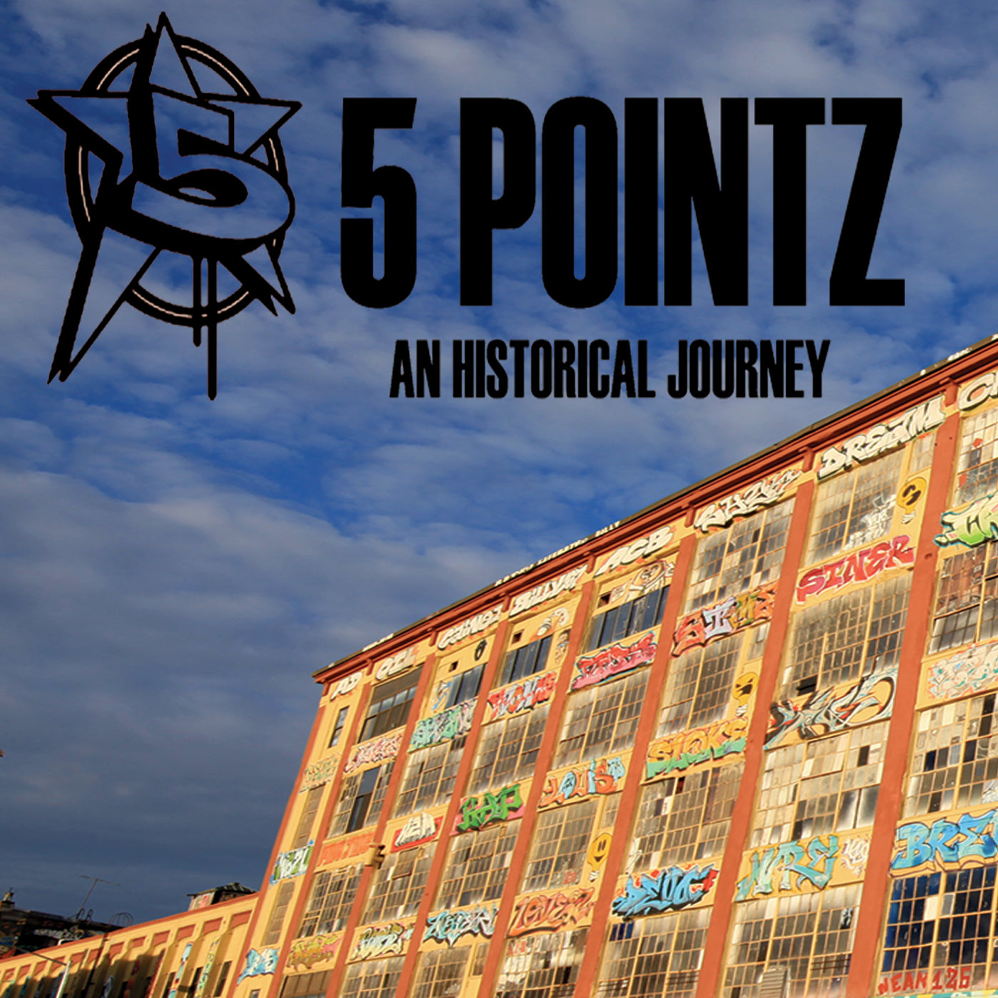 5 Pointz: An Historical Journey (DVD)