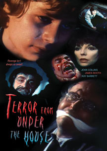 Terror From Under The House (DVD)