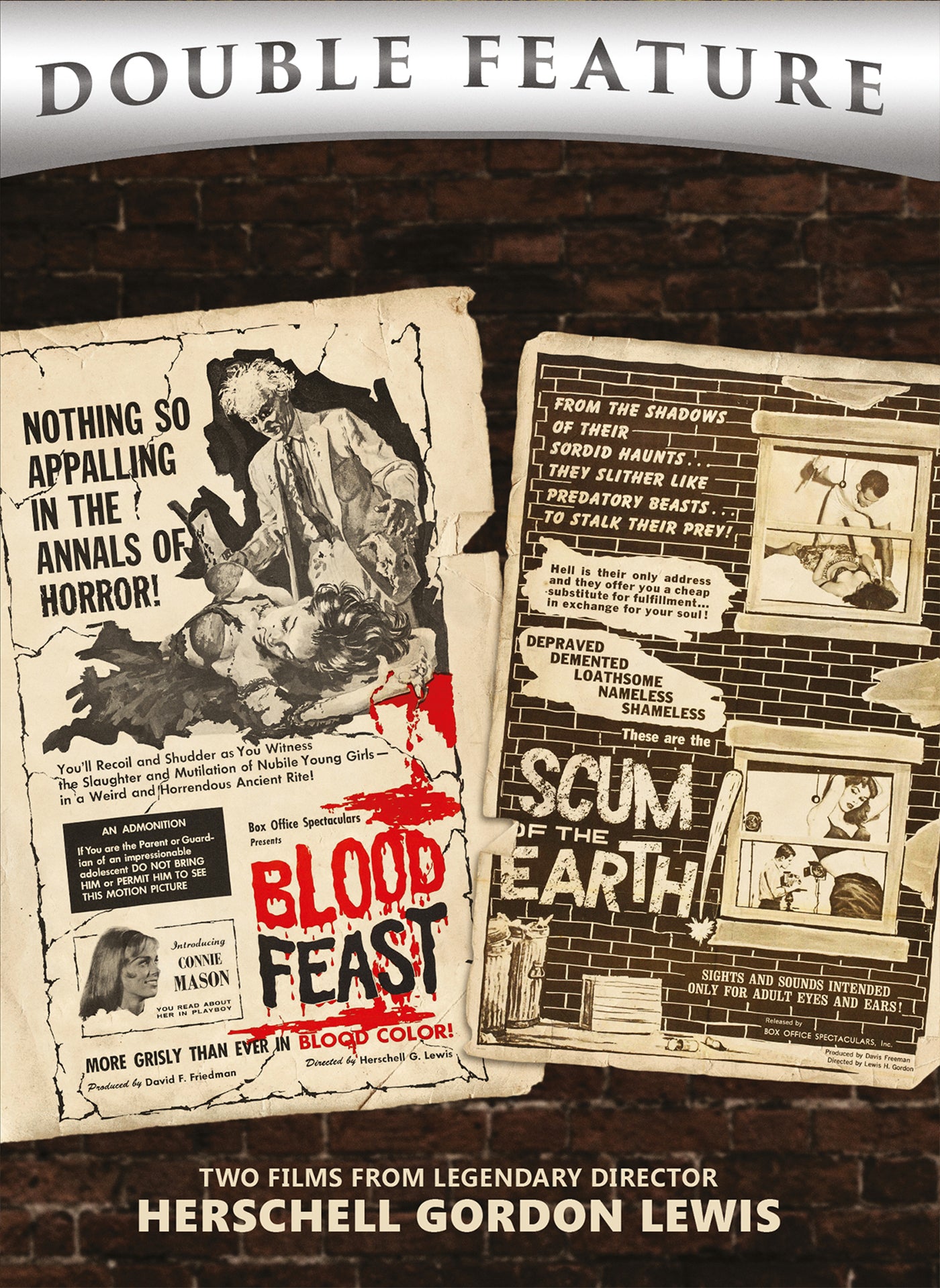 Blood Feast & Scum Of The Earth (DVD)