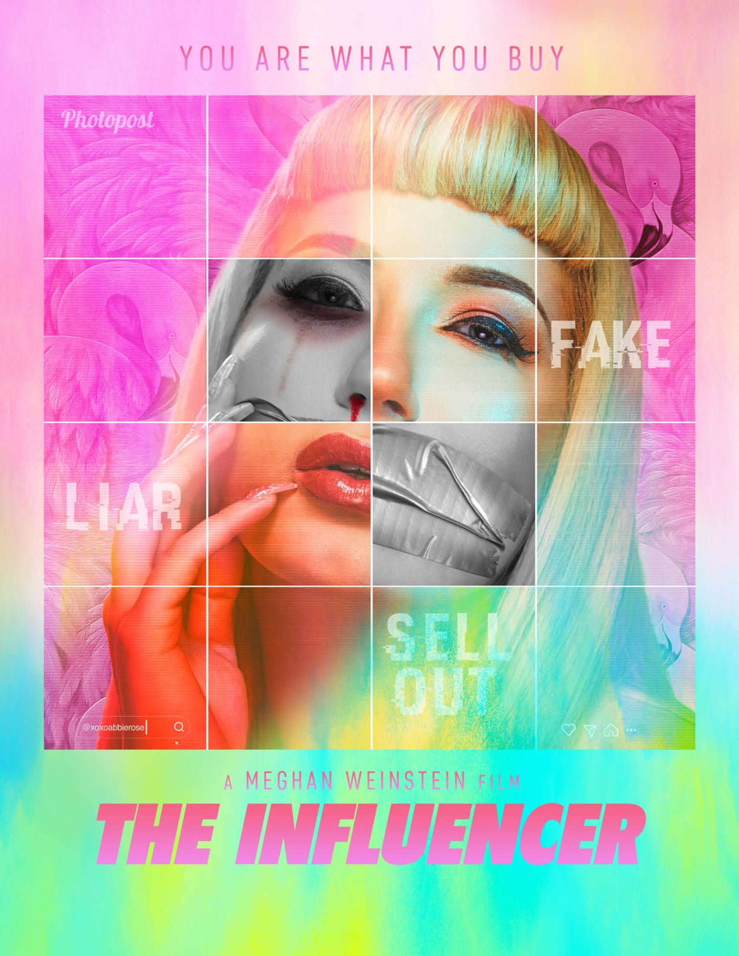 The Influencer (DVD)