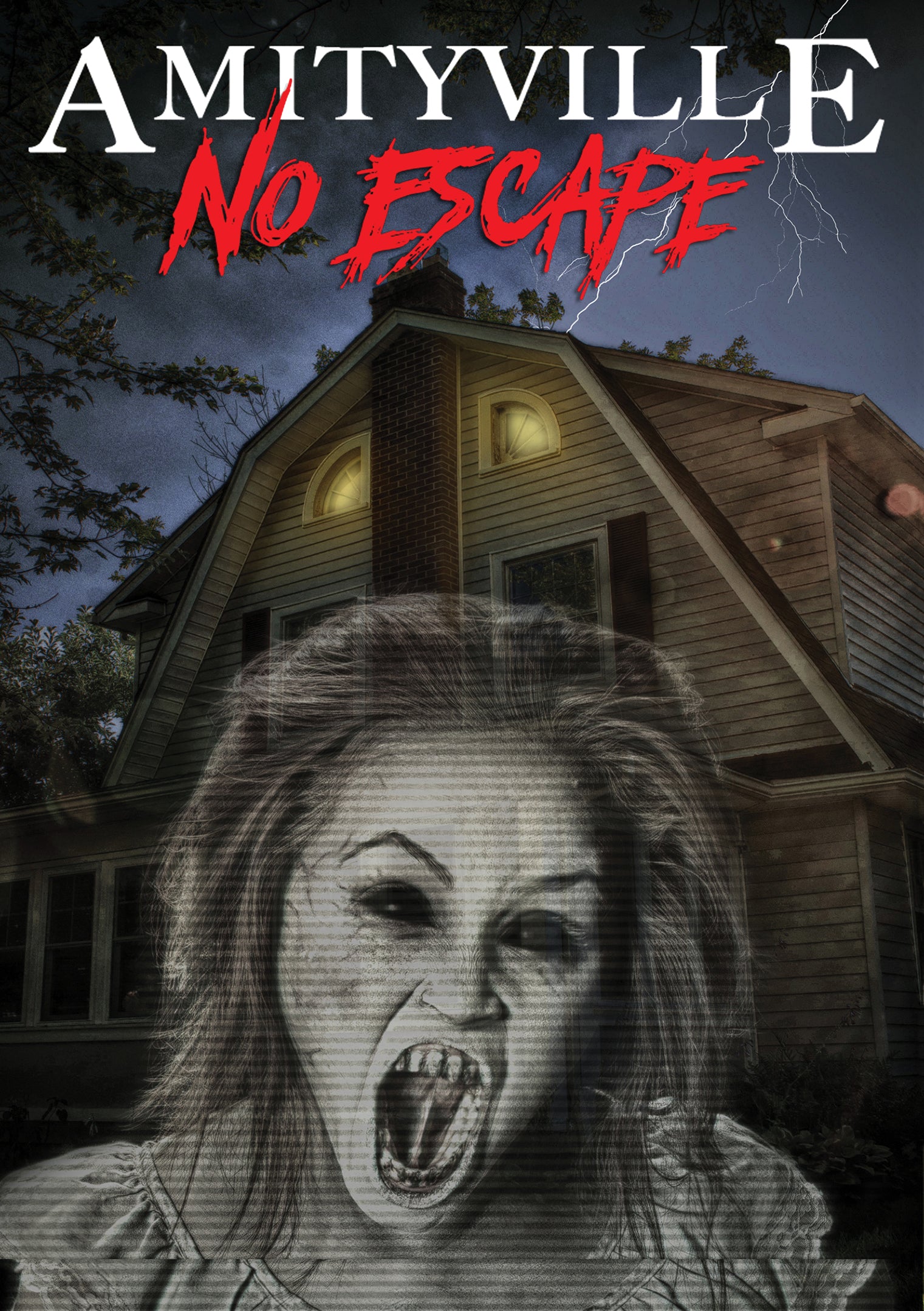 Amityville: No Escape (DVD)