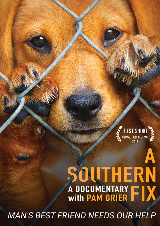 A Southern Fix (DVD)