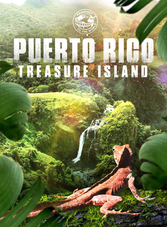 Passport To The World: Puerto Rico (DVD)