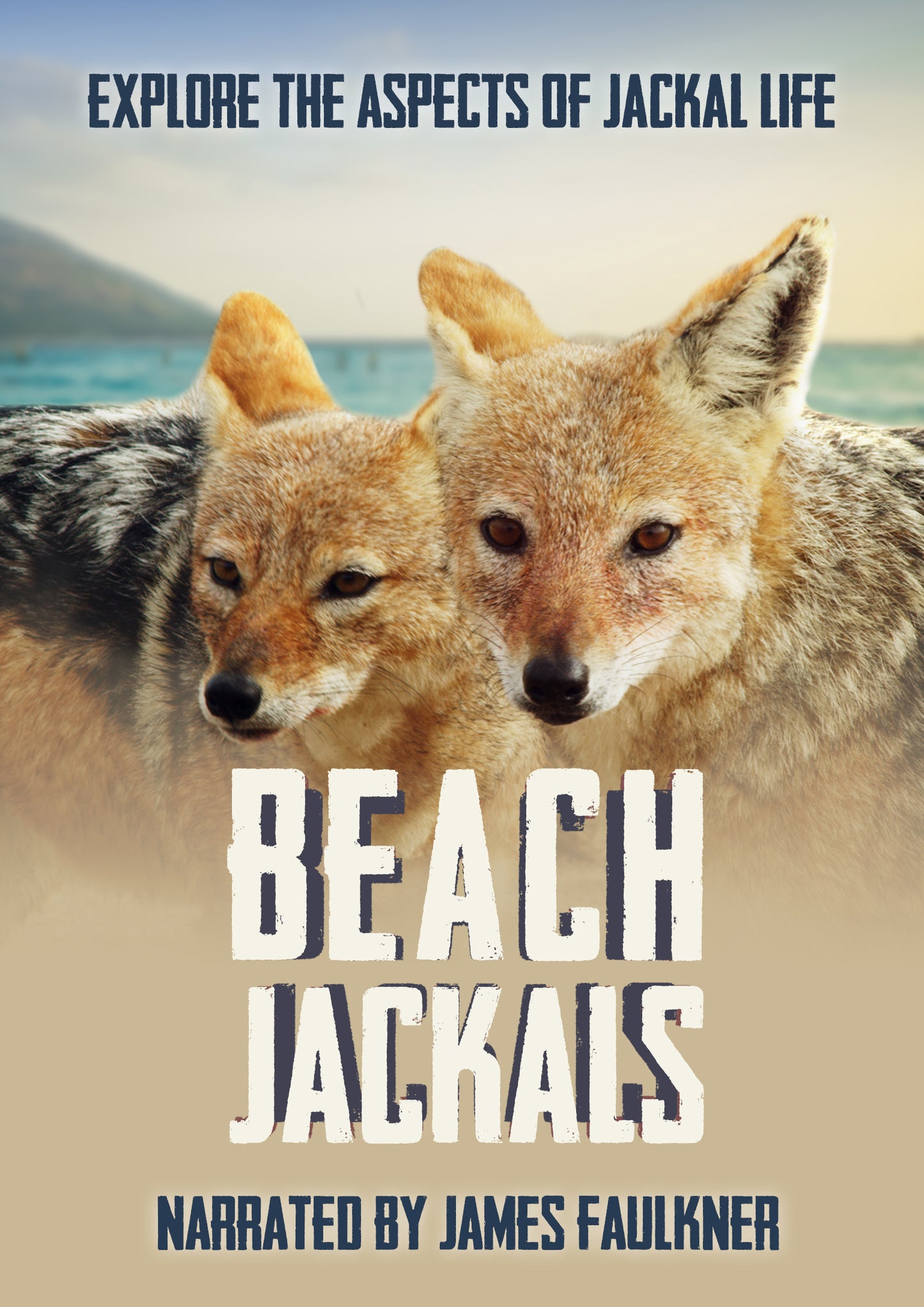 Beach Jackals (DVD)