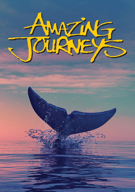 Amazing Journeys (DVD)