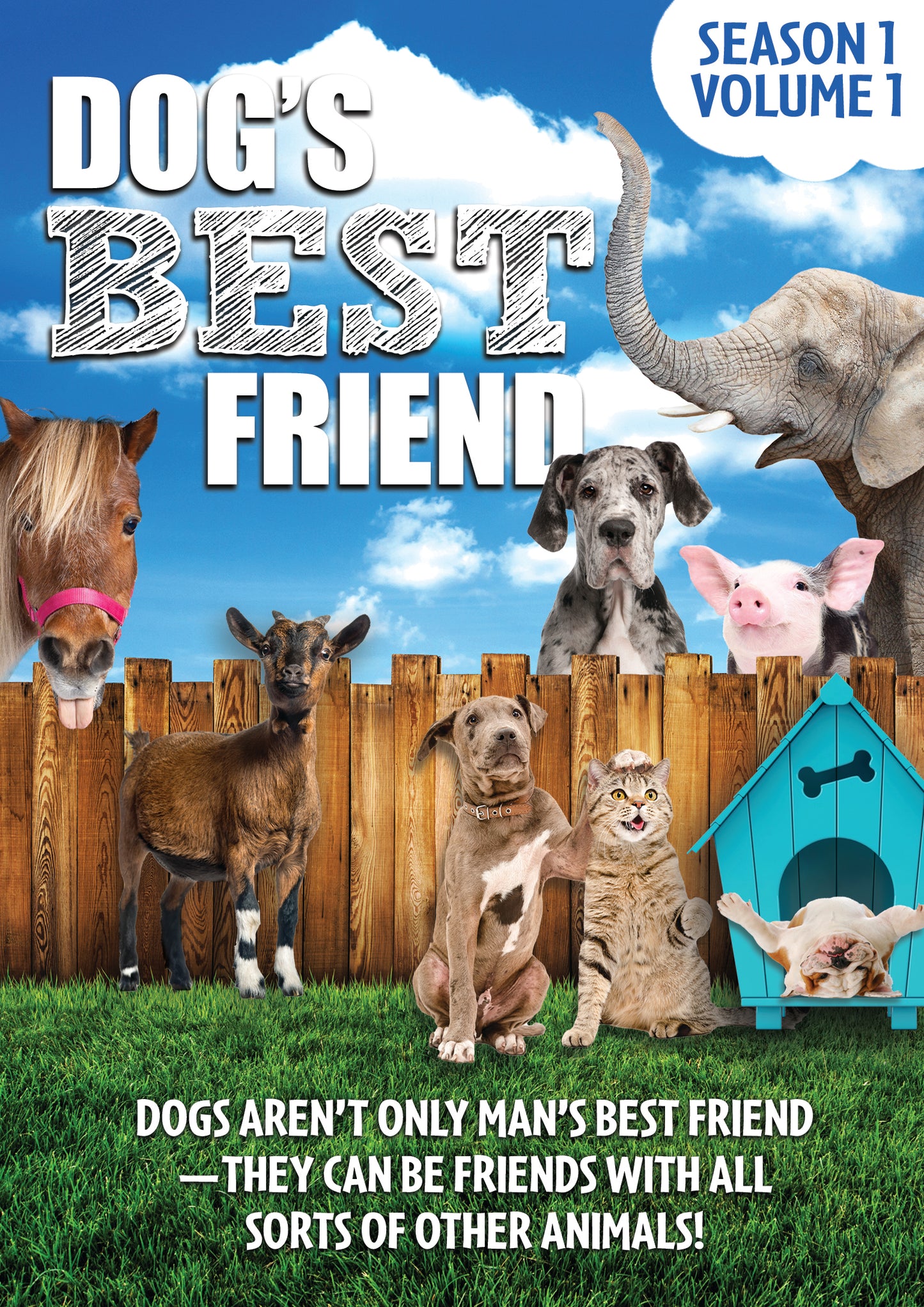 Dog's Best Friend: Season 1 Volume 1 (DVD)